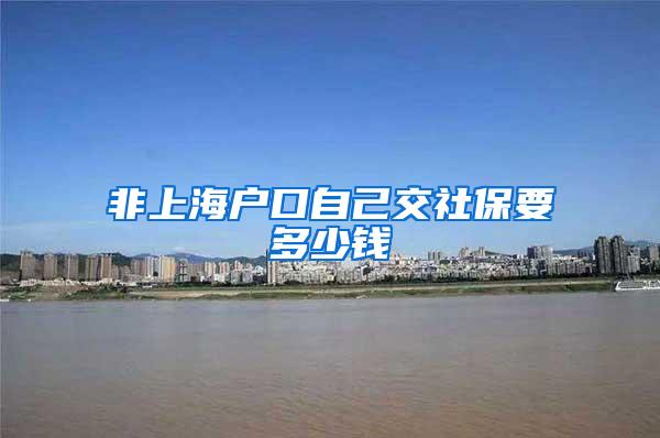 非上海户口自己交社保要多少钱