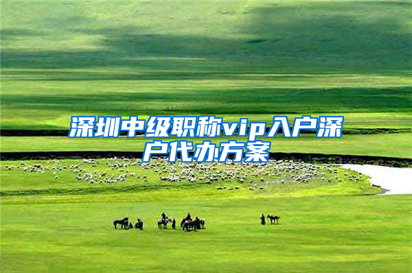 深圳中级职称vip入户深户代办方案