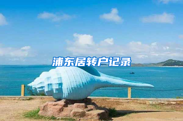 浦东居转户记录