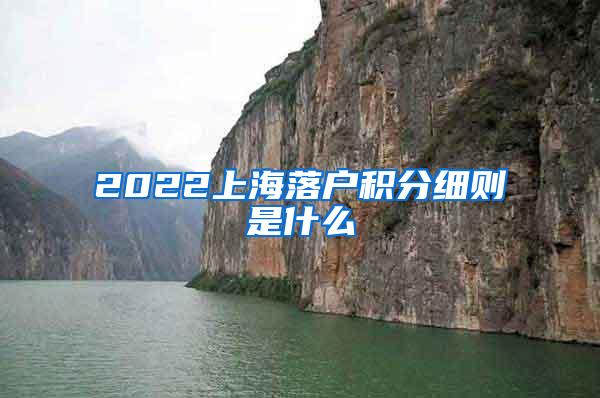 2022上海落户积分细则是什么