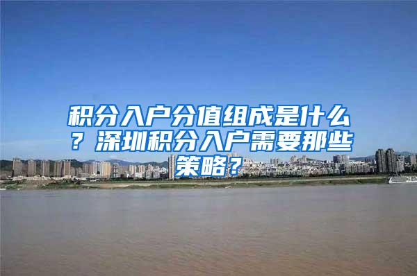 积分入户分值组成是什么？深圳积分入户需要那些策略？