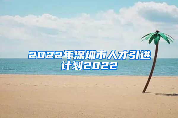 2022年深圳市人才引进计划2022