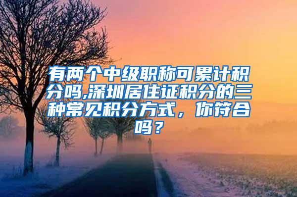 有两个中级职称可累计积分吗,深圳居住证积分的三种常见积分方式，你符合吗？