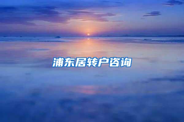 浦东居转户咨询