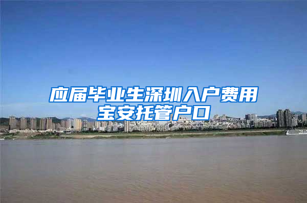 应届毕业生深圳入户费用宝安托管户口