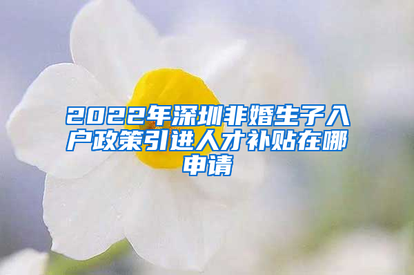 2022年深圳非婚生子入户政策引进人才补贴在哪申请