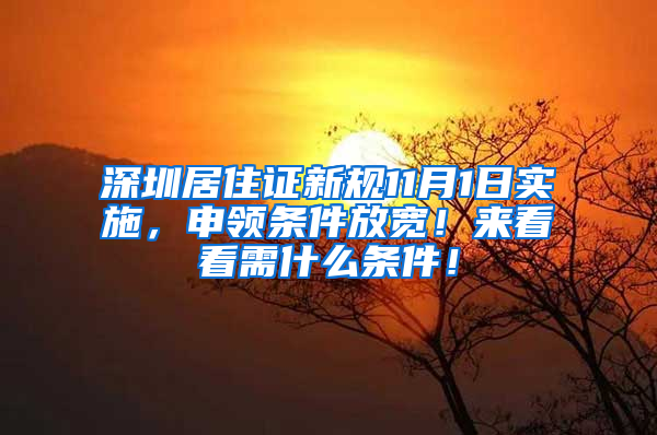 深圳居住证新规11月1日实施，申领条件放宽！来看看需什么条件！