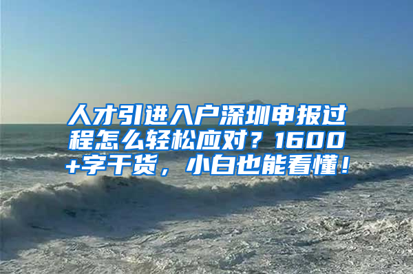 人才引进入户深圳申报过程怎么轻松应对？1600+字干货，小白也能看懂！