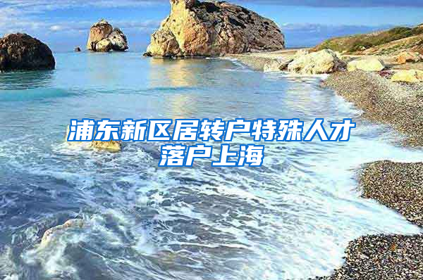 浦东新区居转户特殊人才落户上海