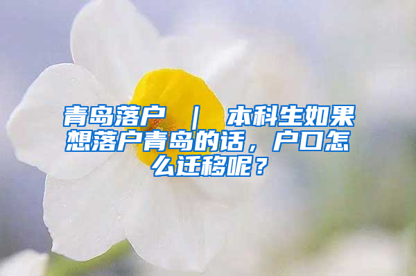 青岛落户 ｜ 本科生如果想落户青岛的话，户口怎么迁移呢？