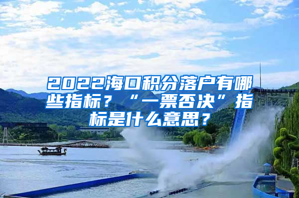 2022海口积分落户有哪些指标？“一票否决”指标是什么意思？