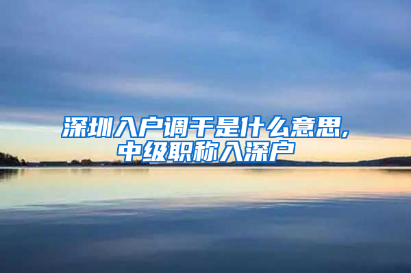 深圳入户调干是什么意思,中级职称入深户