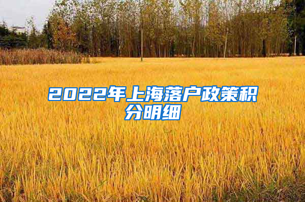 2022年上海落户政策积分明细