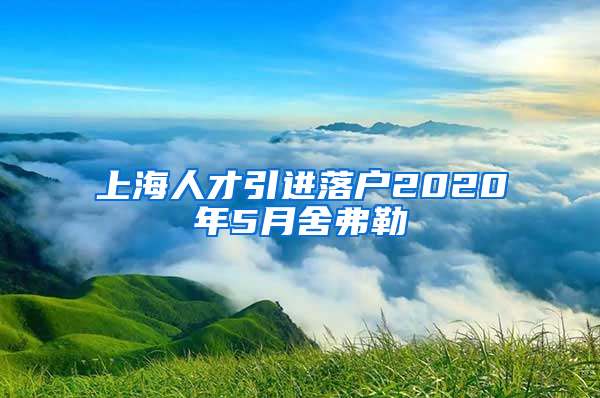 上海人才引进落户2020年5月舍弗勒