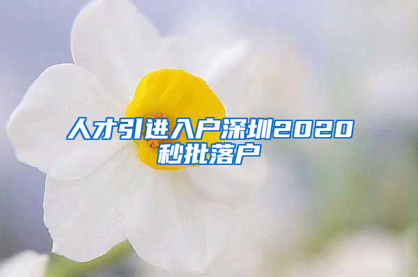 人才引进入户深圳2020秒批落户