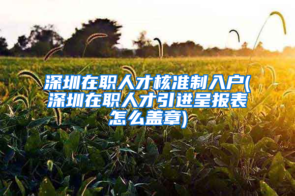 深圳在职人才核准制入户(深圳在职人才引进呈报表怎么盖章)