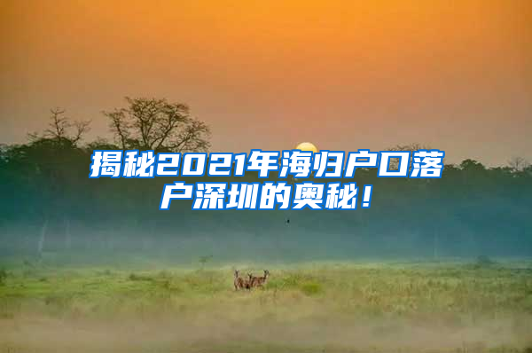 揭秘2021年海归户口落户深圳的奥秘！