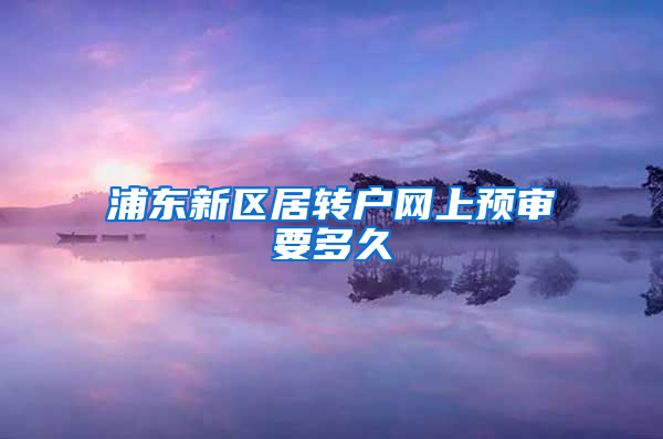 浦东新区居转户网上预审要多久