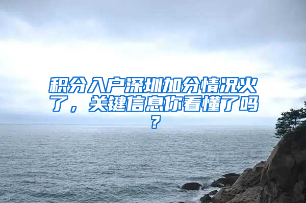 积分入户深圳加分情况火了，关键信息你看懂了吗？