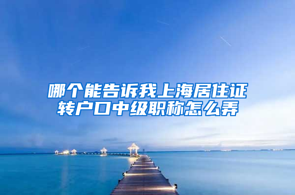 哪个能告诉我上海居住证转户口中级职称怎么弄