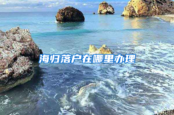 海归落户在哪里办理