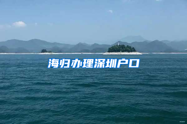 海归办理深圳户口