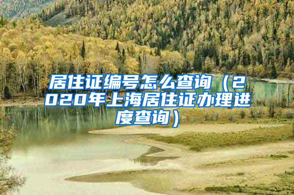 居住证编号怎么查询（2020年上海居住证办理进度查询）