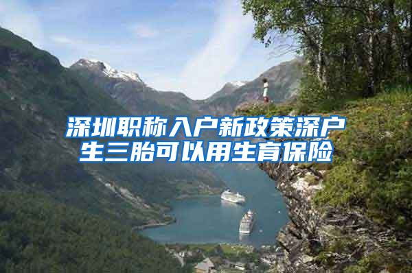 深圳职称入户新政策深户生三胎可以用生育保险