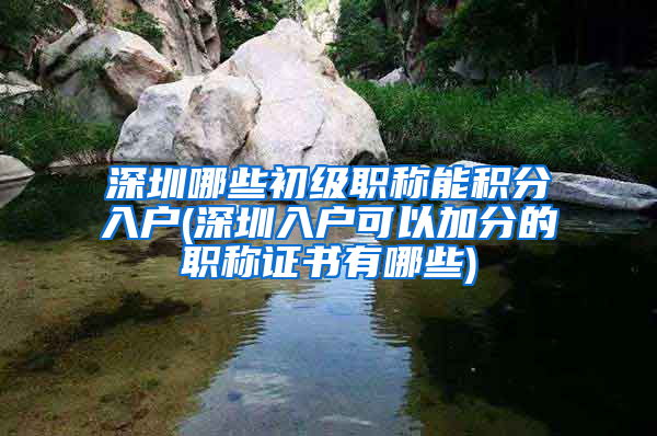 深圳哪些初级职称能积分入户(深圳入户可以加分的职称证书有哪些)