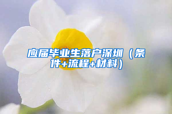 应届毕业生落户深圳（条件+流程+材料）