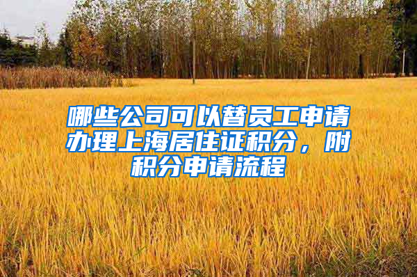 哪些公司可以替员工申请办理上海居住证积分，附积分申请流程