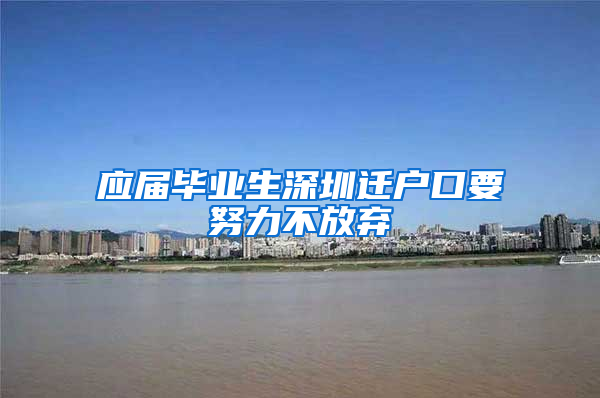 应届毕业生深圳迁户口要努力不放弃