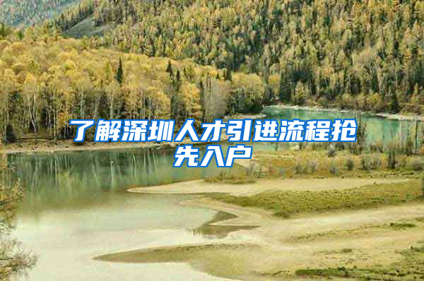 了解深圳人才引进流程抢先入户