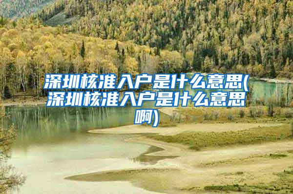 深圳核准入户是什么意思(深圳核准入户是什么意思啊)
