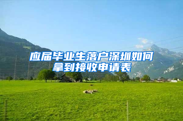 应届毕业生落户深圳如何拿到接收申请表