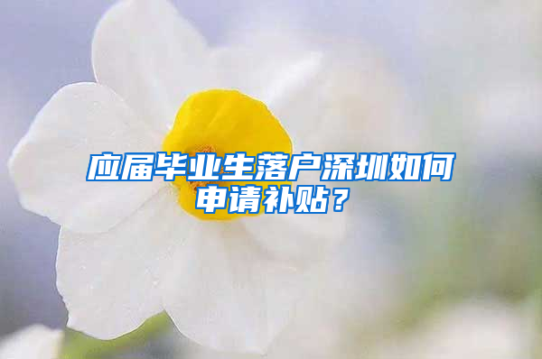 应届毕业生落户深圳如何申请补贴？