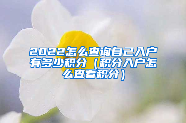 2022怎么查询自己入户有多少积分（积分入户怎么查看积分）