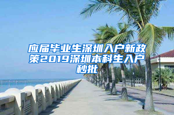 应届毕业生深圳入户新政策2019深圳本科生入户秒批