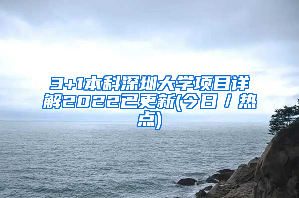 3+1本科深圳大学项目详解2022已更新(今日／热点)