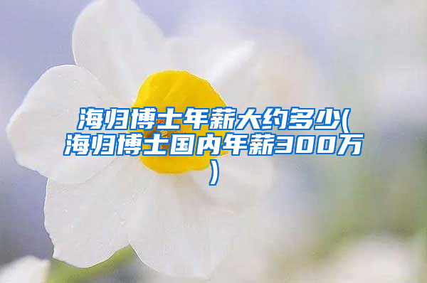 海归博士年薪大约多少(海归博士国内年薪300万)