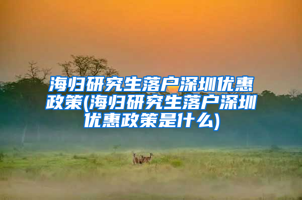 海归研究生落户深圳优惠政策(海归研究生落户深圳优惠政策是什么)