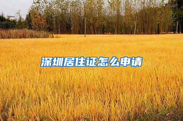 深圳居住证怎么申请