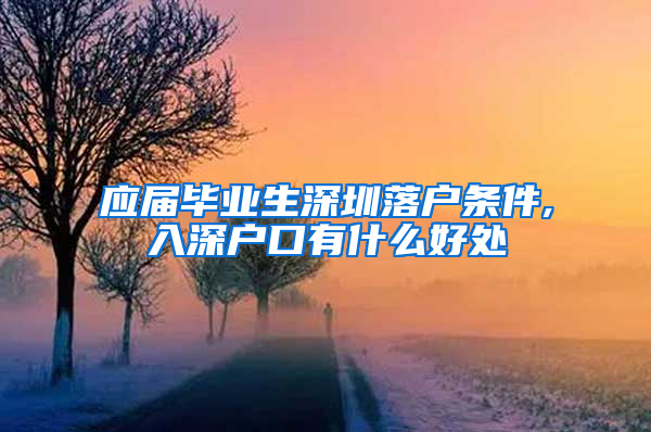 应届毕业生深圳落户条件,入深户口有什么好处