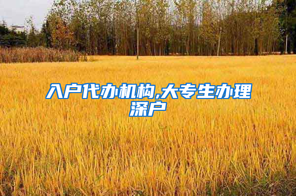 入户代办机构,大专生办理深户