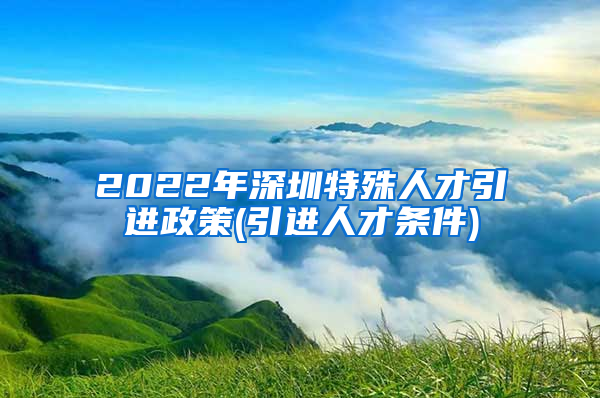 2022年深圳特殊人才引进政策(引进人才条件)