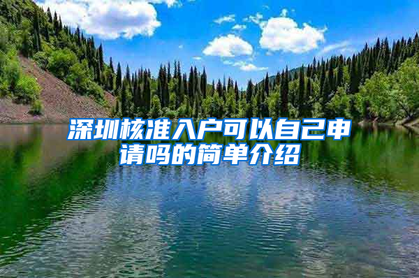 深圳核准入户可以自己申请吗的简单介绍