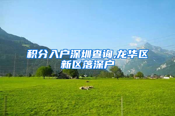 积分入户深圳查询,龙华区新区落深户