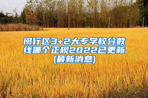 闵行区3+2大专学校分数线哪个正规2022已更新(最新消息)