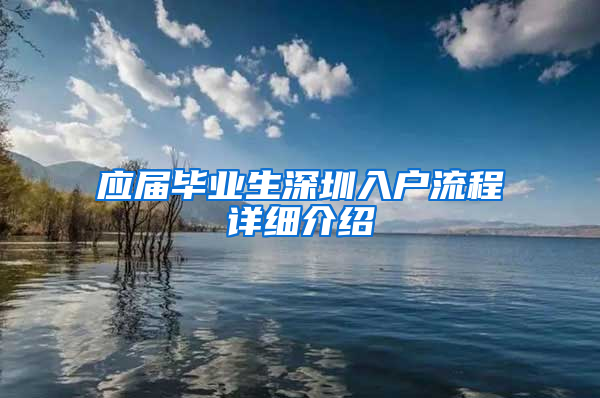 应届毕业生深圳入户流程详细介绍