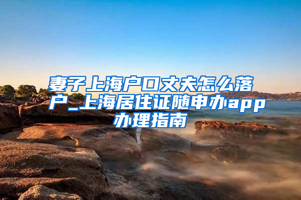 妻子上海户口丈夫怎么落户_上海居住证随申办app办理指南